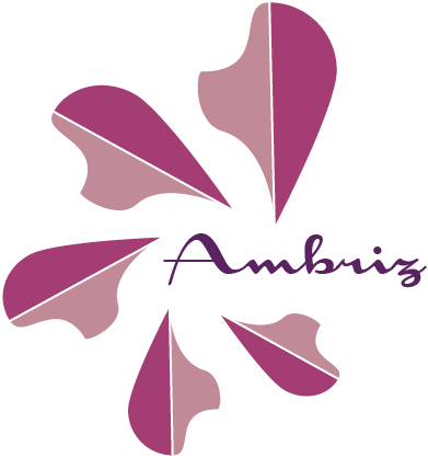 Estudio Ambriz — inicio