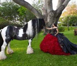 Quinceañera con vestido rojo y negro junto a un caballo
