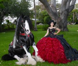 Quinceañera con vestido rojo y negro junto a un caballo
