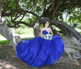 Quinceañera con vestido azul entre árboles